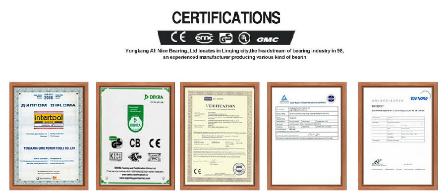 5. certificate.jpg
